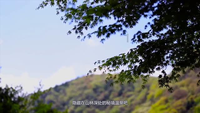 你真的了解什么是麻风病吗？盲区逐一解答！